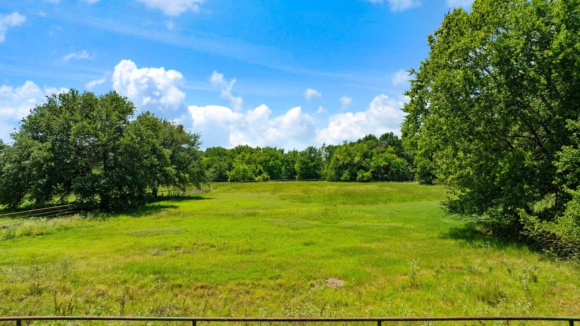 49.16 acres in Lamar County gallery image 2