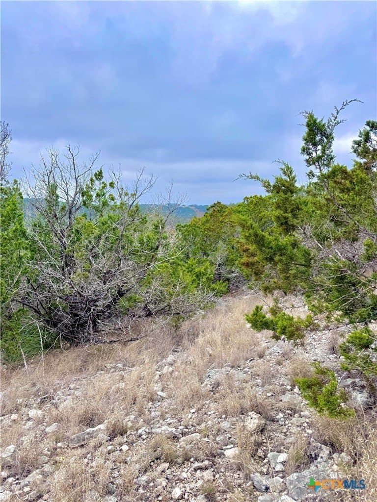 25.72 acres in Kerr County gallery image 3