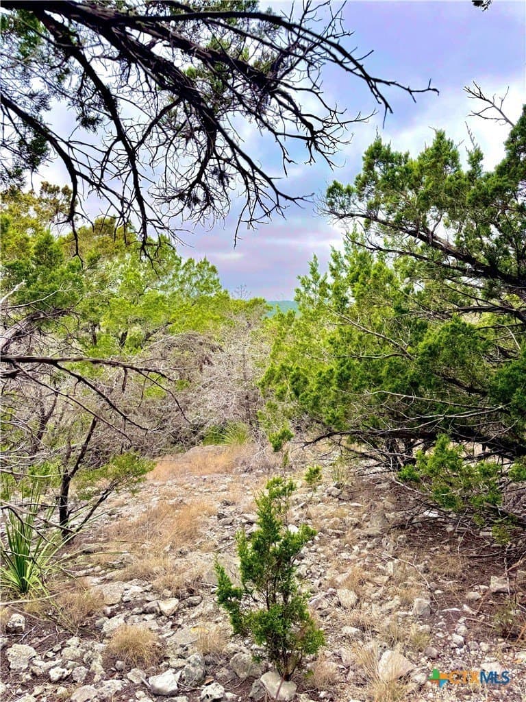 25.72 acres in Kerr County - photo 9