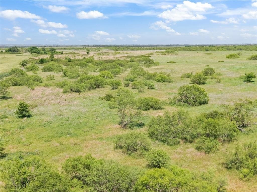39.99 acres in Montague County gallery image 2