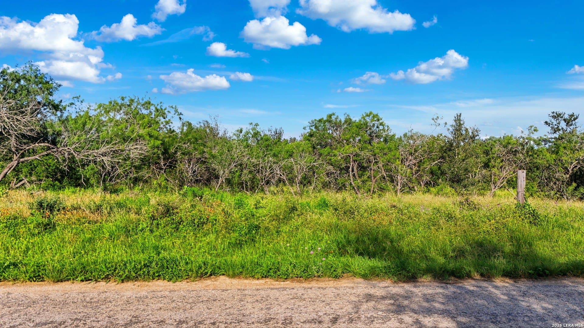 4.73 acres in Guadalupe County gallery image 2