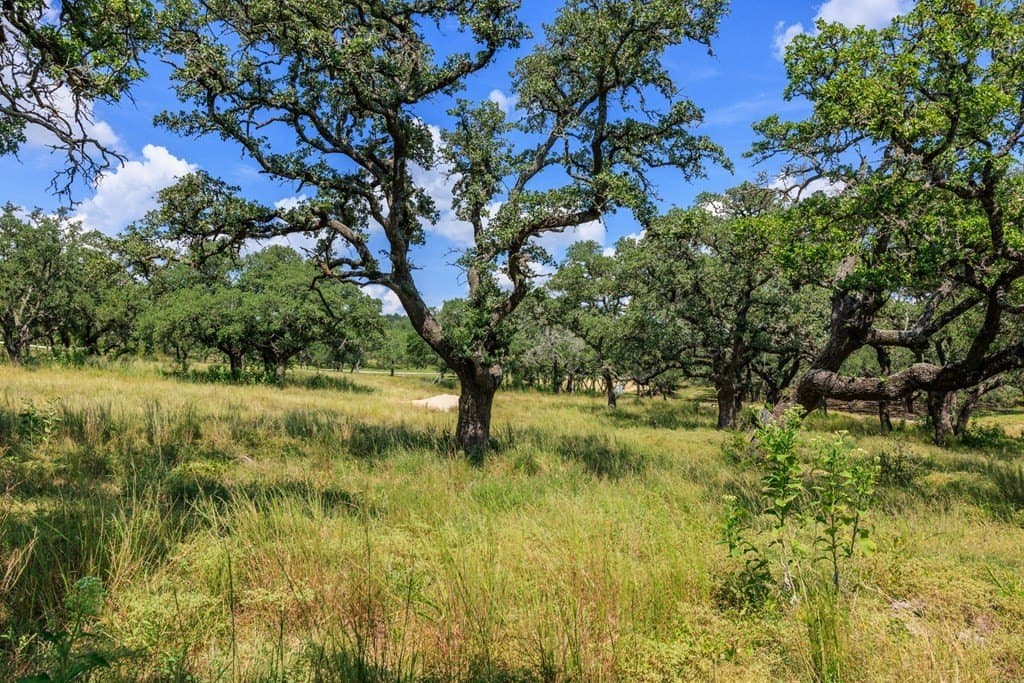 6.21 acres in Blanco County - photo 30