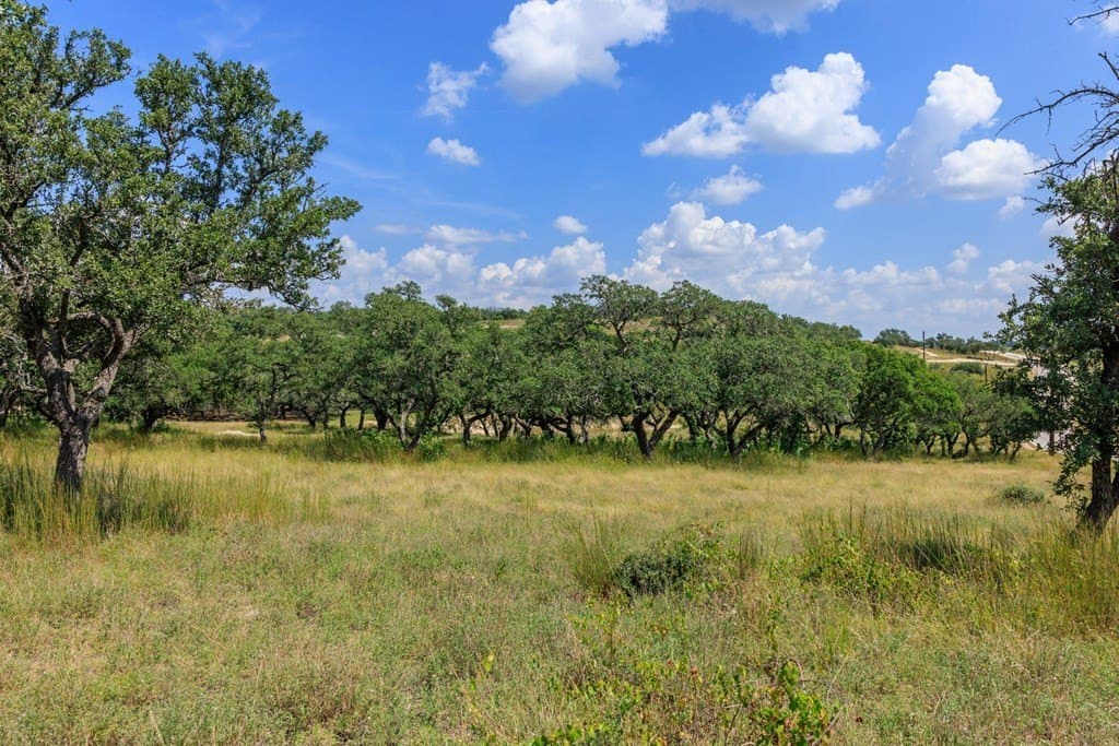 6.21 acres in Blanco County - photo 35