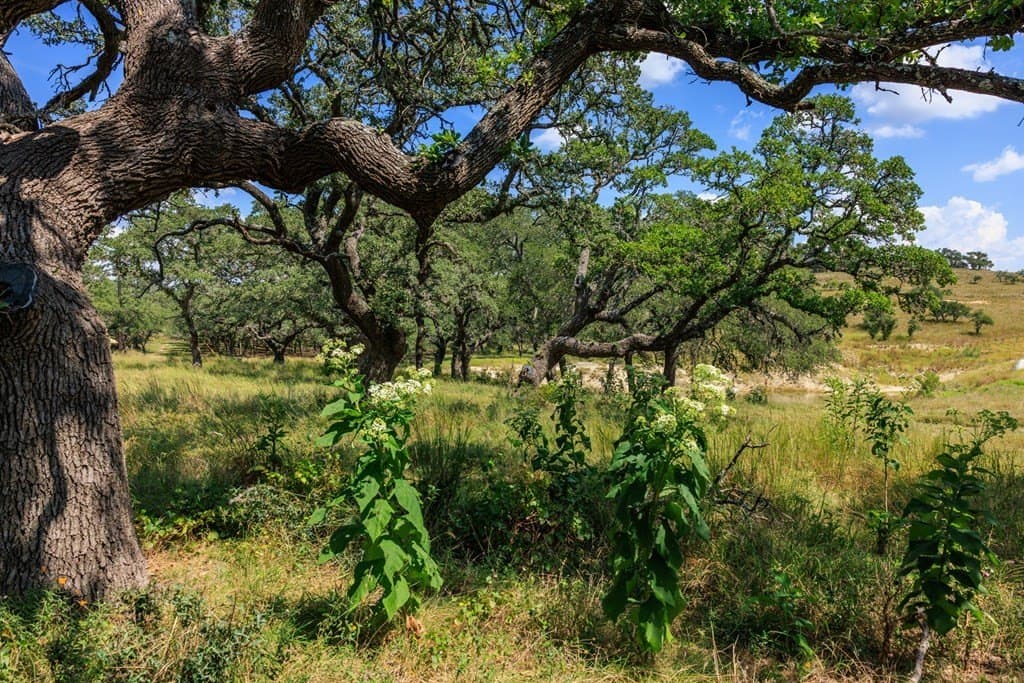 6.21 acres in Blanco County - photo 32