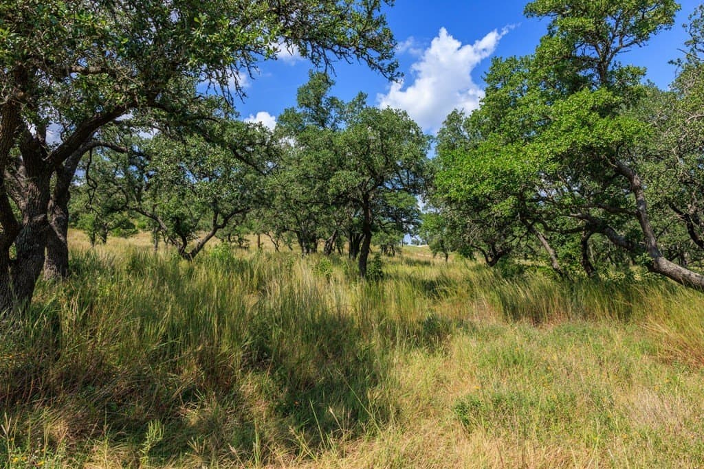 6.21 acres in Blanco County - photo 33
