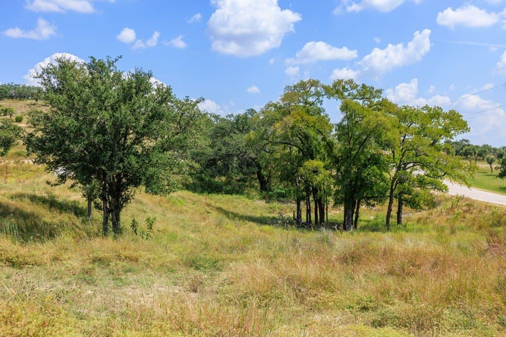 6.21 acres in Blanco County - photo 28