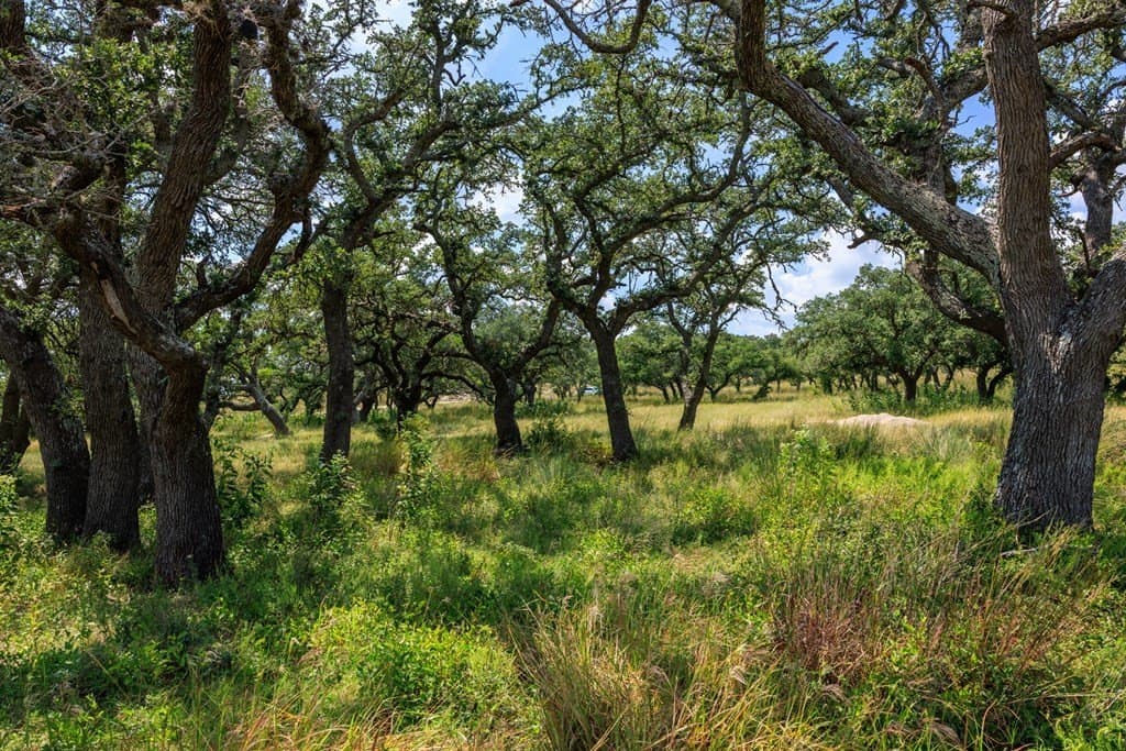 6.21 acres in Blanco County - photo 12