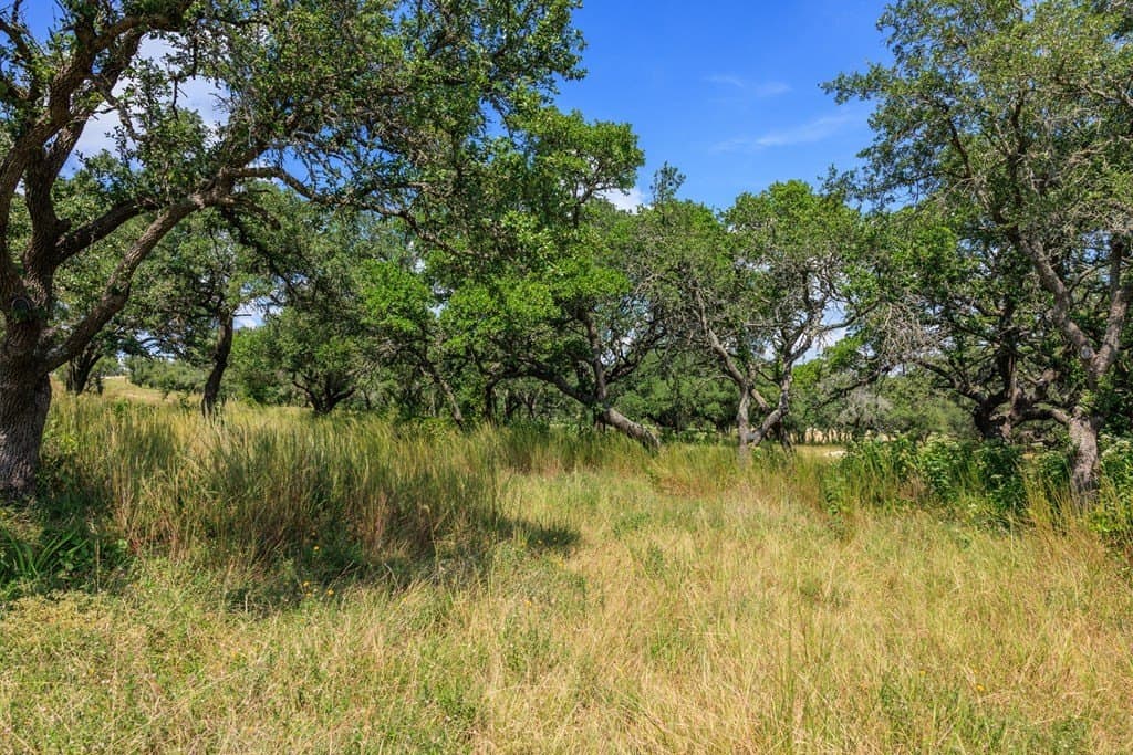 6.21 acres in Blanco County - photo 14