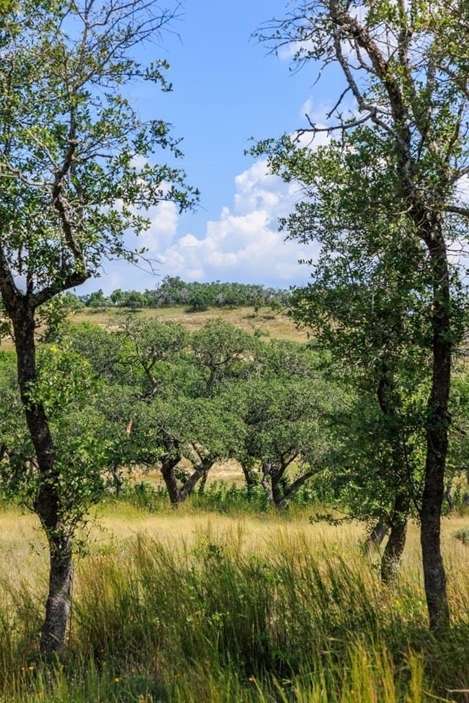 6.21 acres in Blanco County - photo 37
