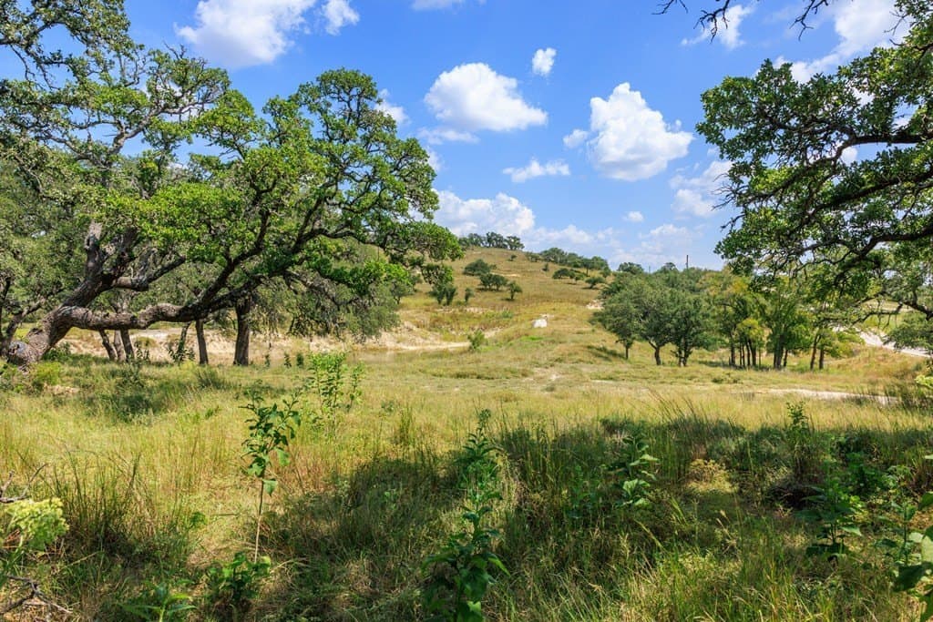 6.21 acres in Blanco County - photo 31