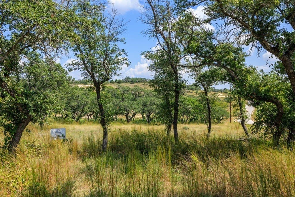 6.21 acres in Blanco County - photo 38