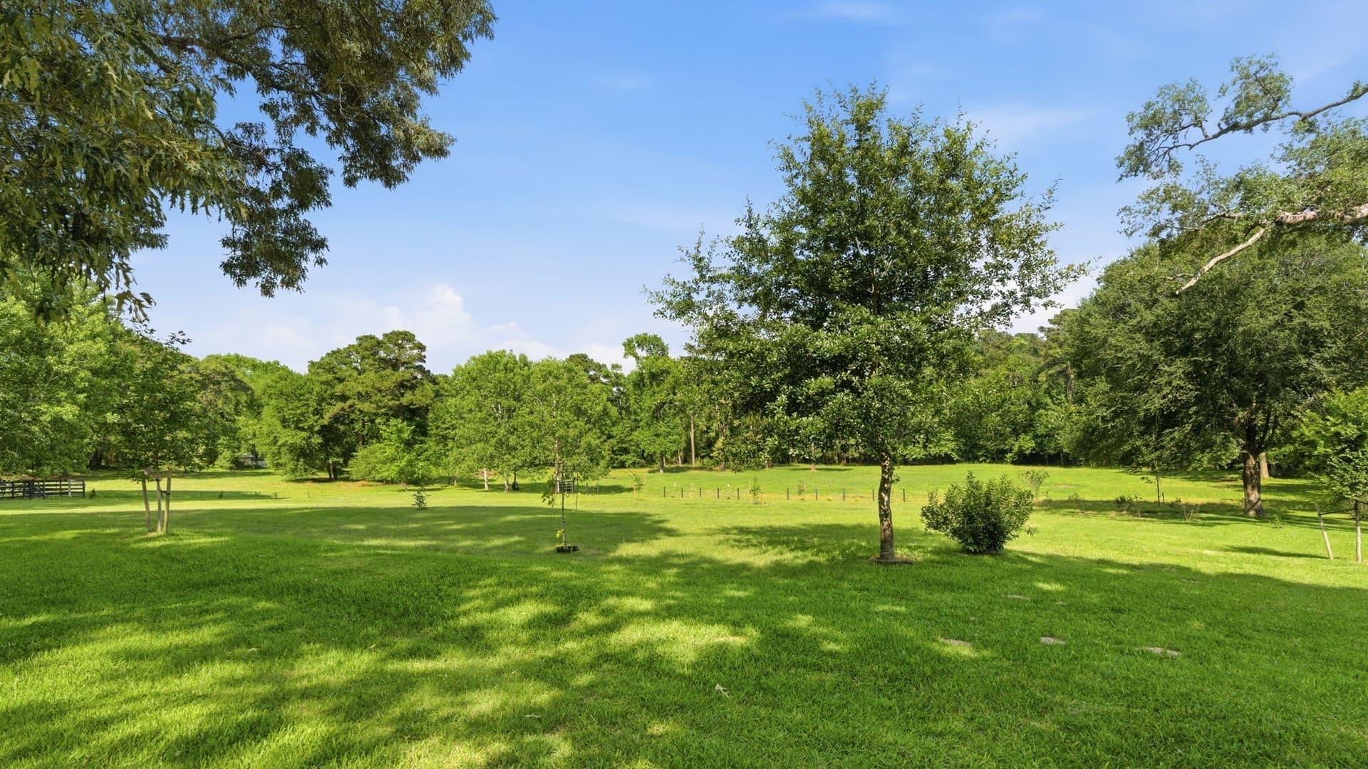 9 acres in Montgomery County - photo 14