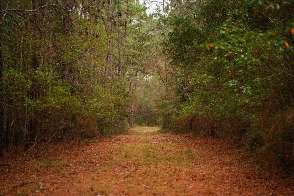 89 acres in Texas County