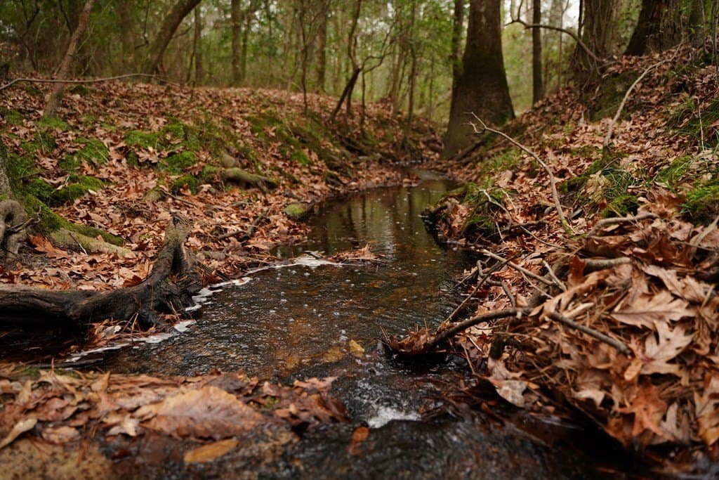 89 acres in Texas County gallery image 2
