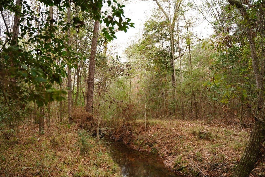 89 acres in Texas County gallery image 4