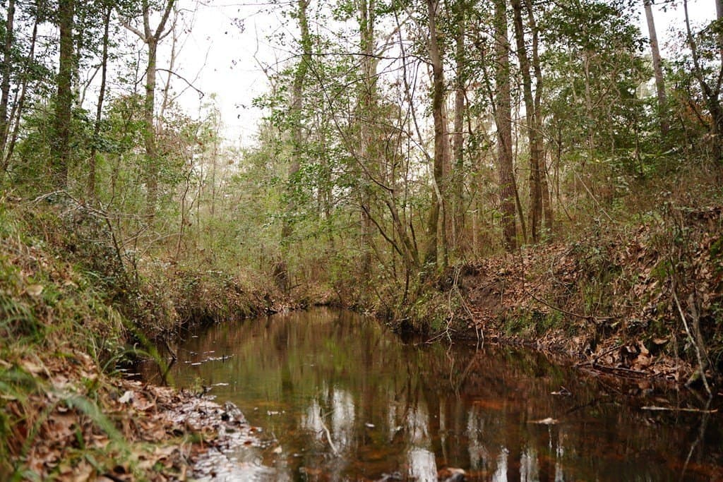 89 acres in Texas County gallery image 3