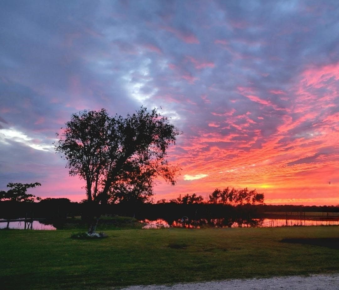 17.61 acres in McLennan County - photo 35