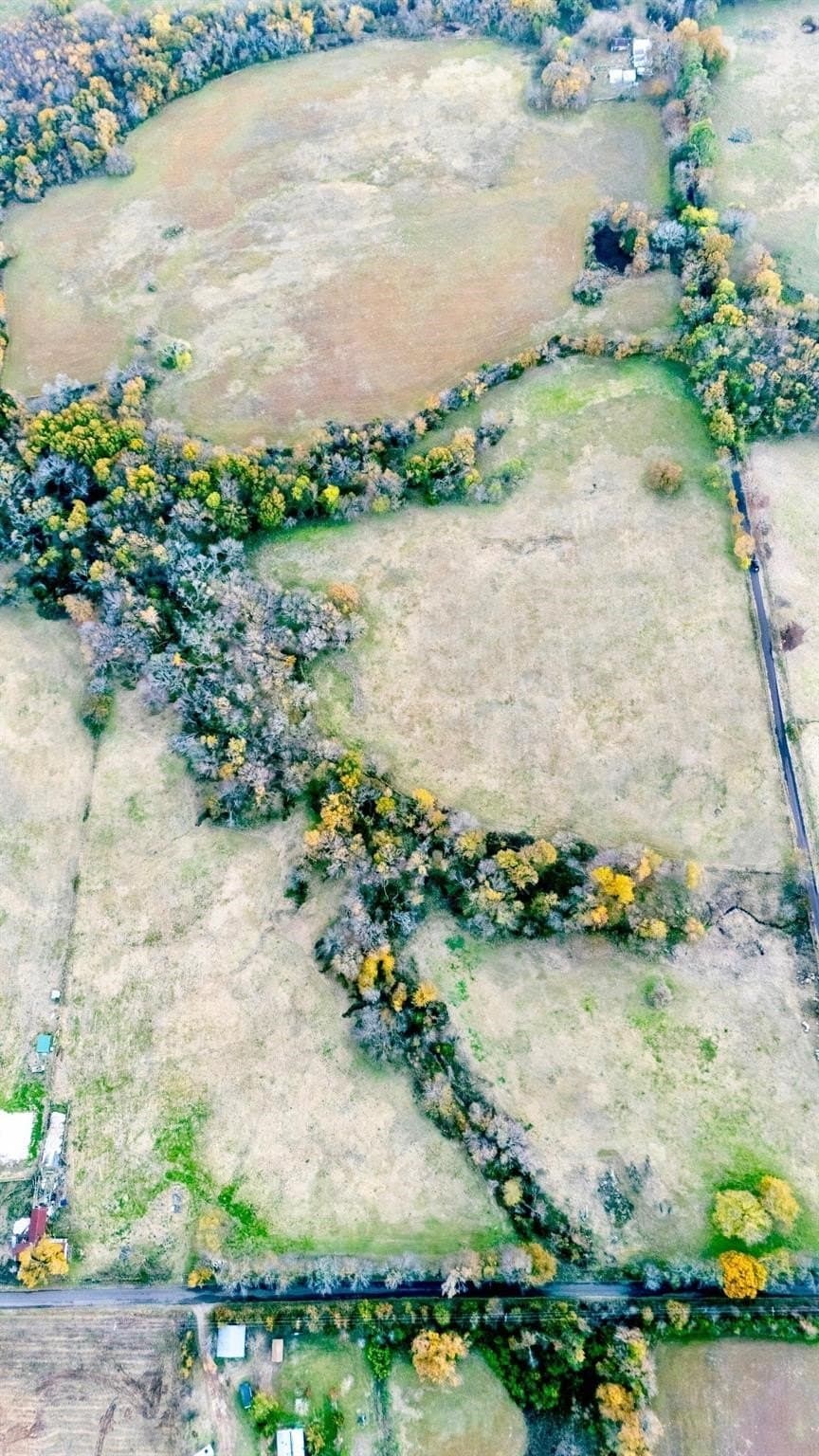 60.06 acres in Hopkins County gallery image 3