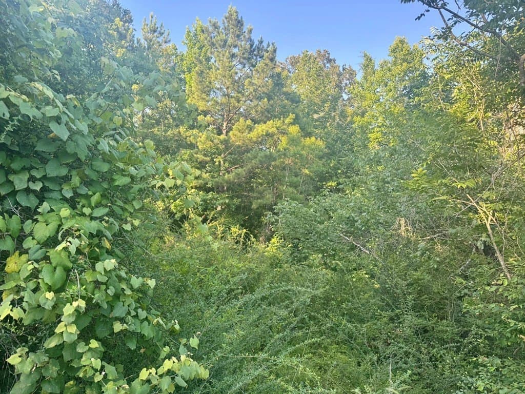 5.08 acres in Texas County - photo 12
