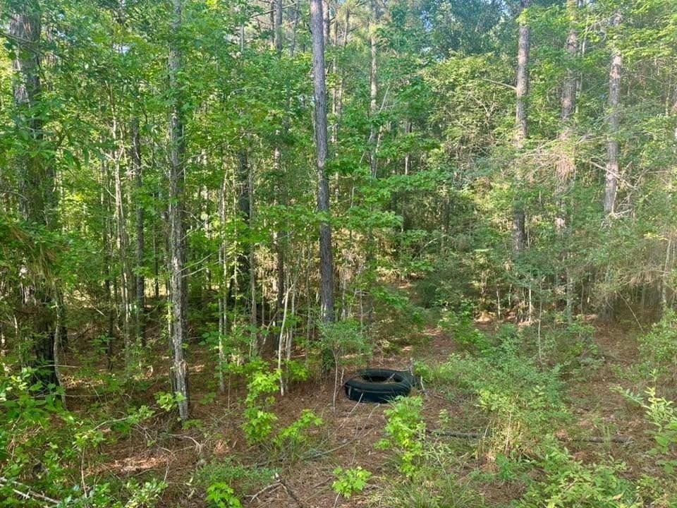 5.08 acres in Texas County gallery image 4