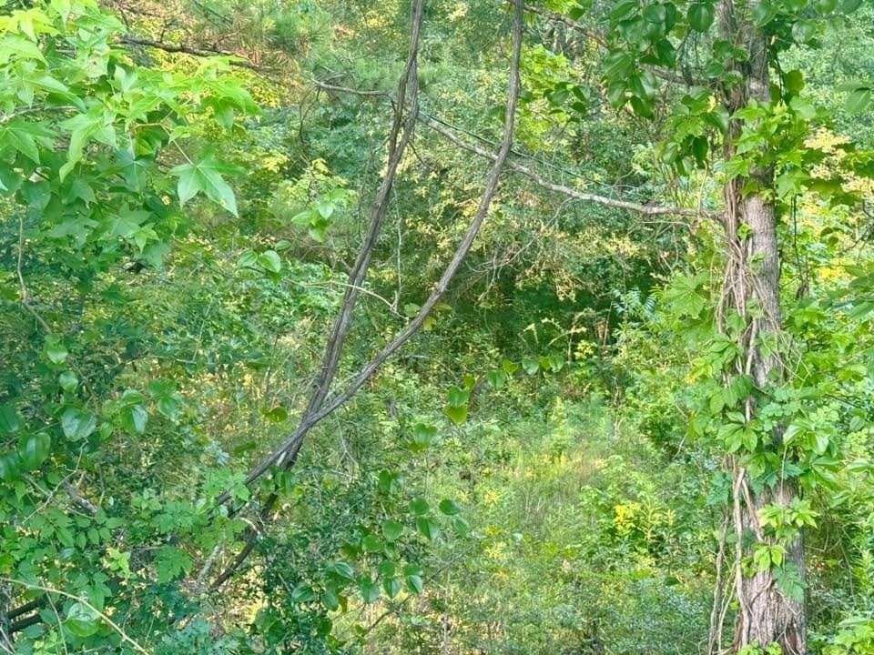 5.08 acres in Texas County - photo 15