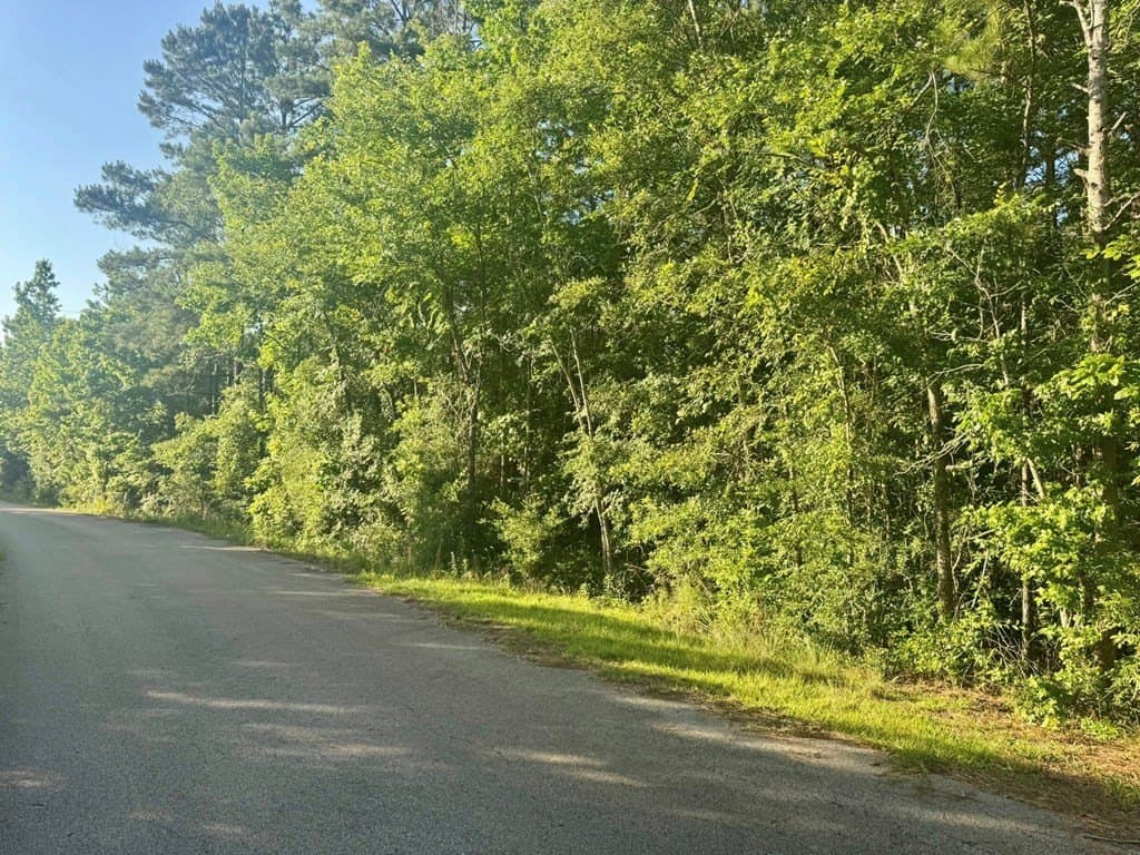 5.08 acres in Texas County - photo 21