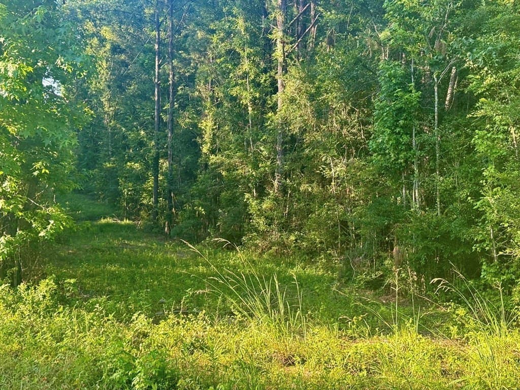 5.08 acres in Texas County - photo 17