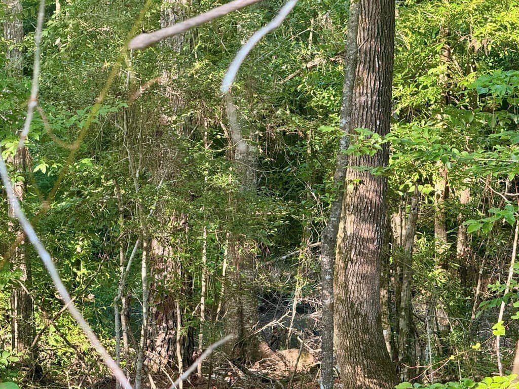 5.08 acres in Texas County - photo 19
