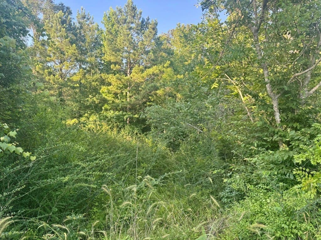 5.08 acres in Texas County - photo 8