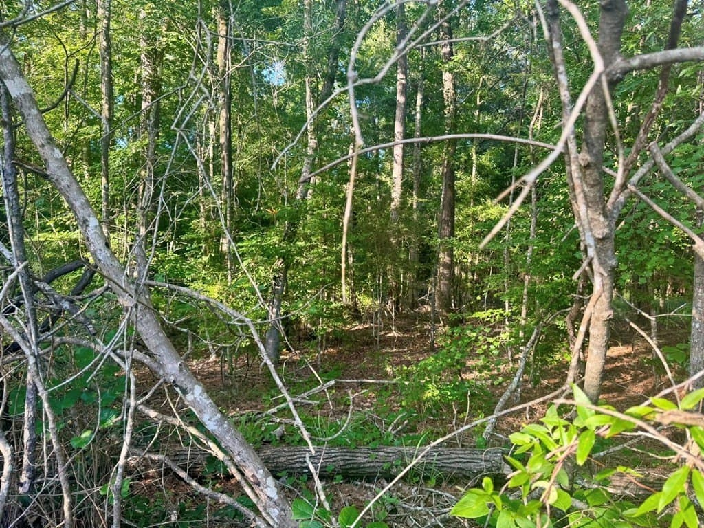 5.08 acres in Texas County - photo 18
