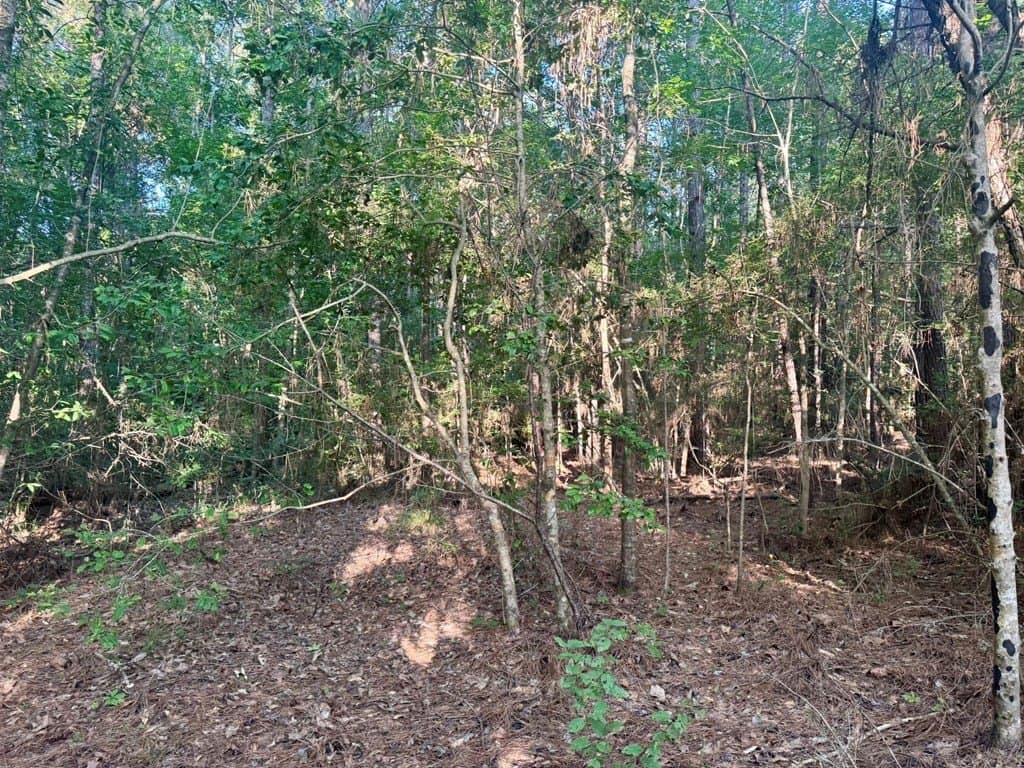 5.08 acres in Texas County featured view
