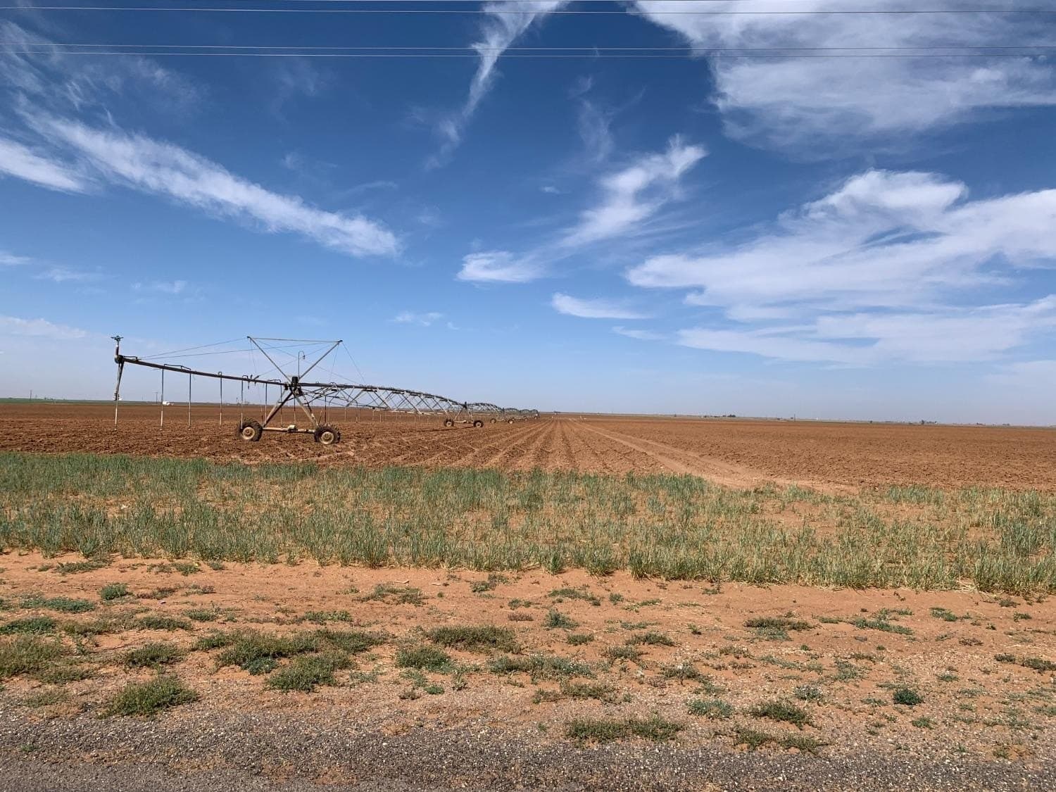 159.9 acres in Hockley County gallery image 4