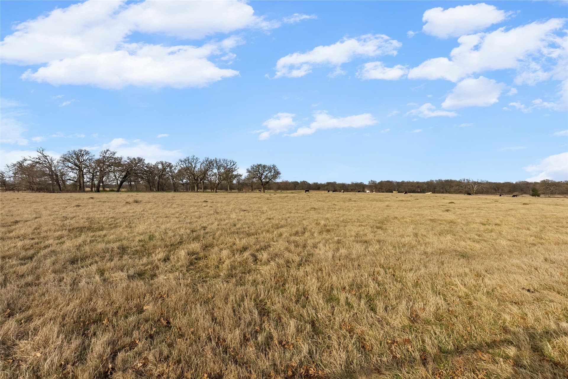 20.75 acres in Hopkins County - photo 35