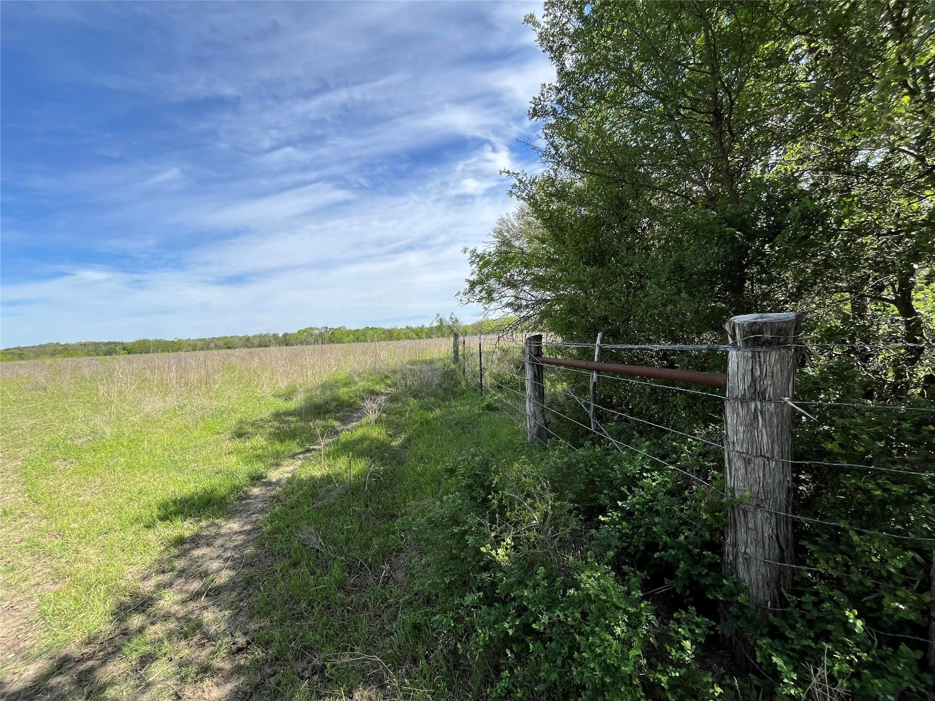 253.67 acres in Limestone County - photo 31