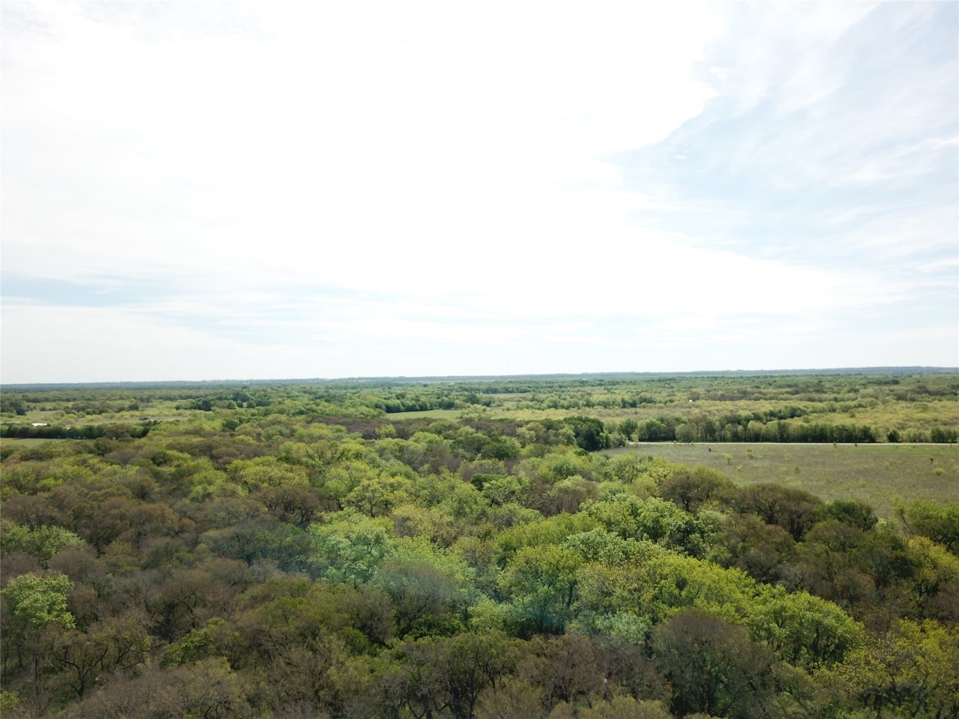 253.67 acres in Limestone County - photo 24