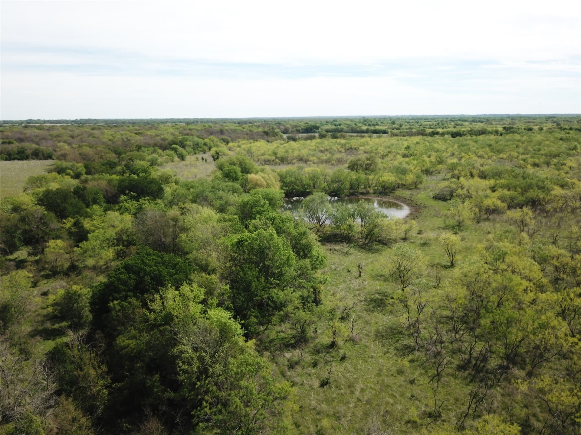 253.67 acres in Limestone County - photo 28