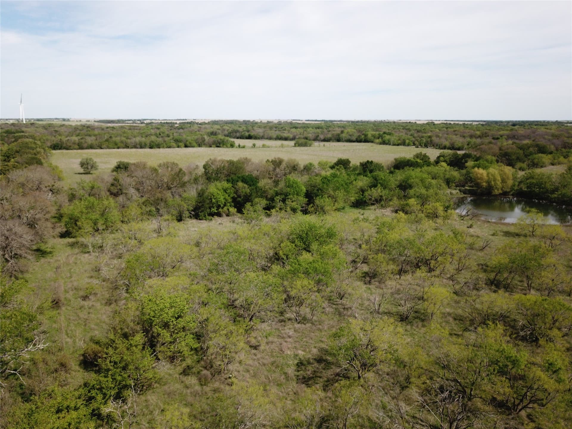 253.67 acres in Limestone County - photo 30