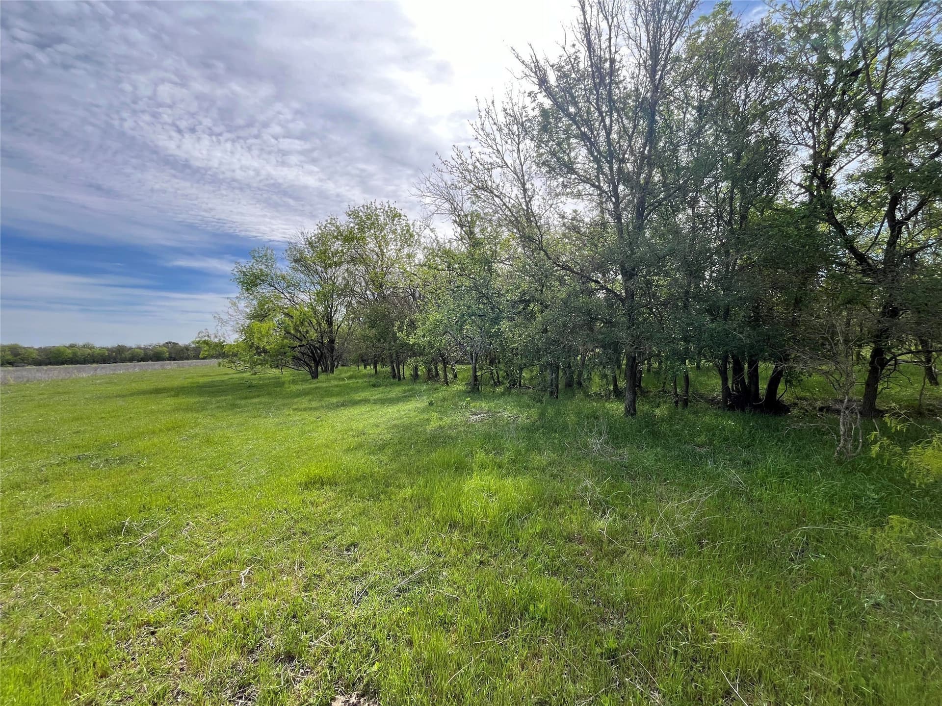 253.67 acres in Limestone County - photo 33