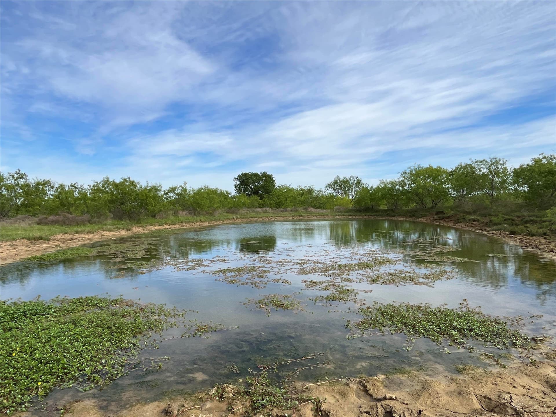 253.67 acres in Limestone County - photo 36