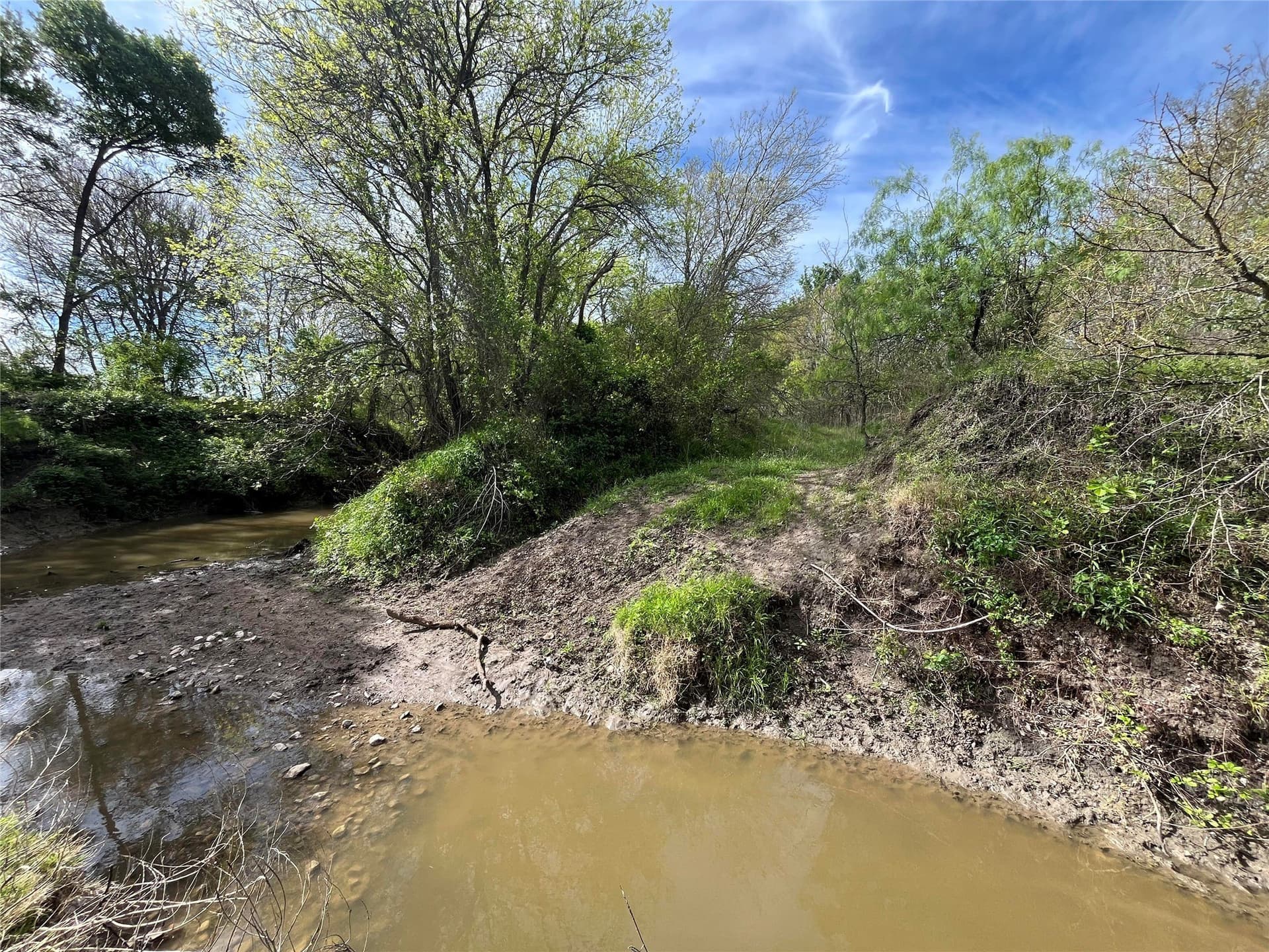 253.67 acres in Limestone County - photo 35