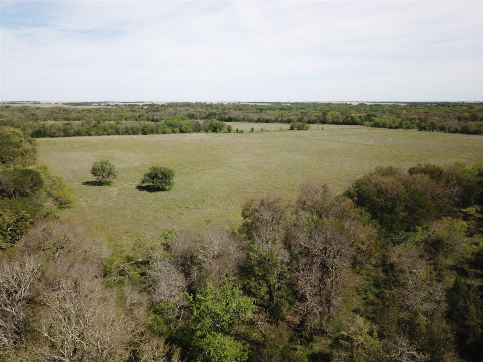 253.67 acres in Limestone County - photo 29