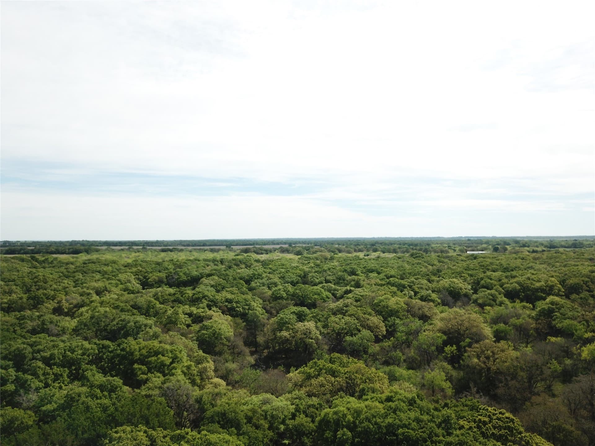 253.67 acres in Limestone County - photo 25