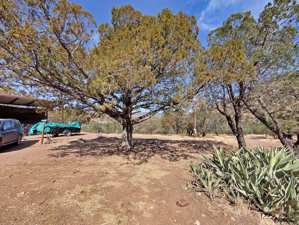 6.47 acres in Jeff Davis County gallery image 2