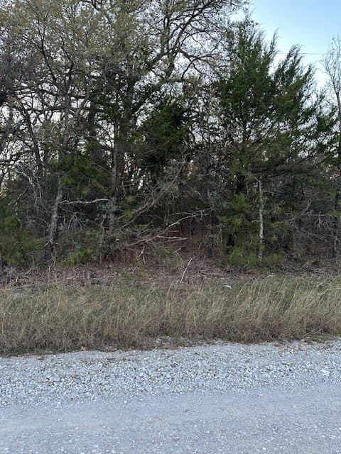 0.17 acres in Montague County gallery image 2