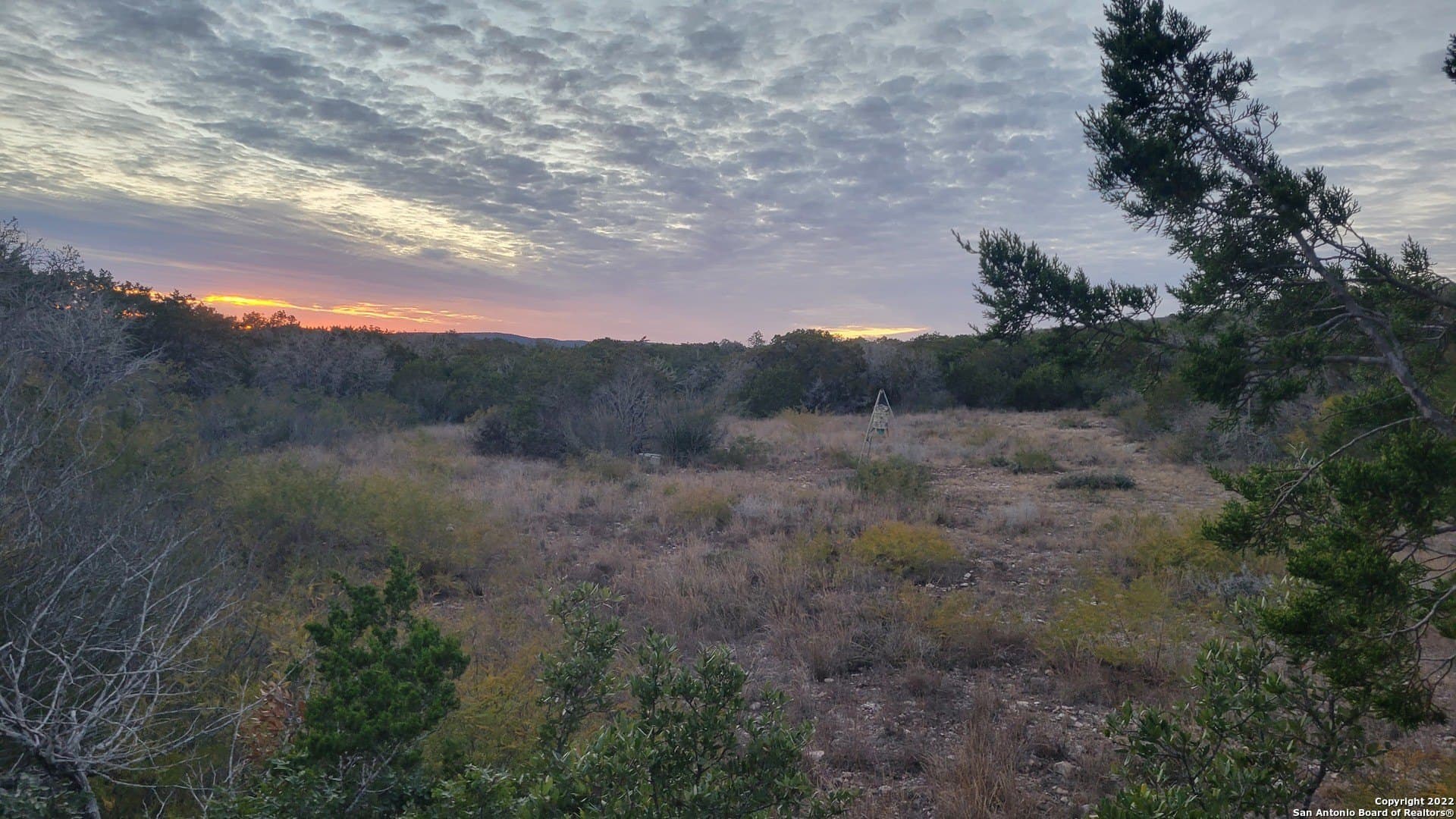 24.75 acres in Uvalde County - photo 6