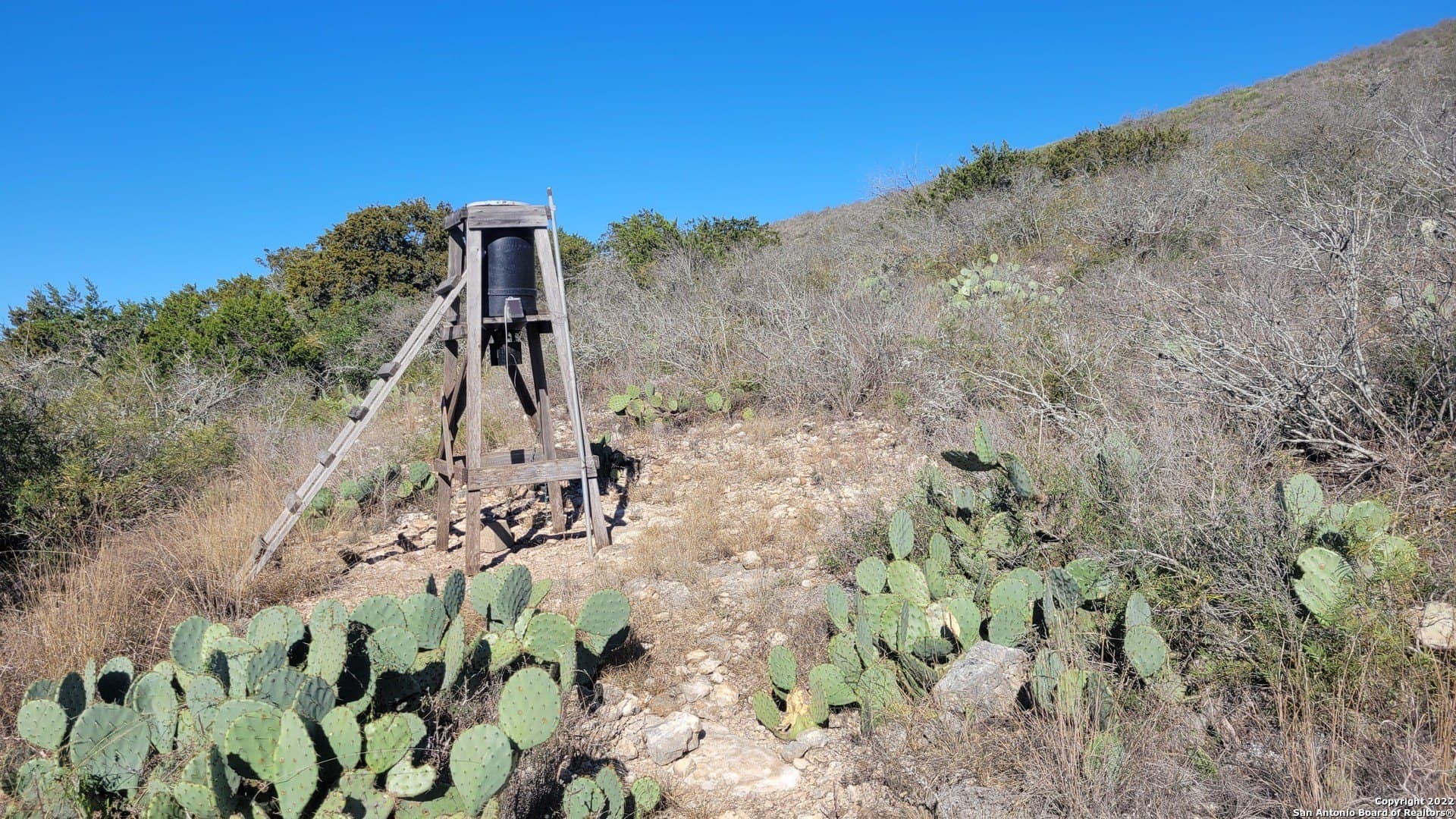 24.75 acres in Uvalde County - photo 13