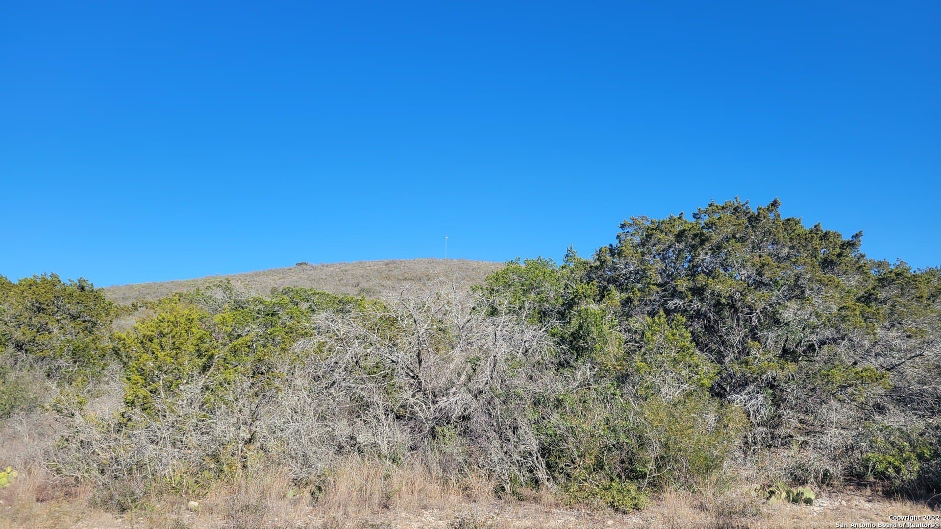 24.75 acres in Uvalde County - photo 8