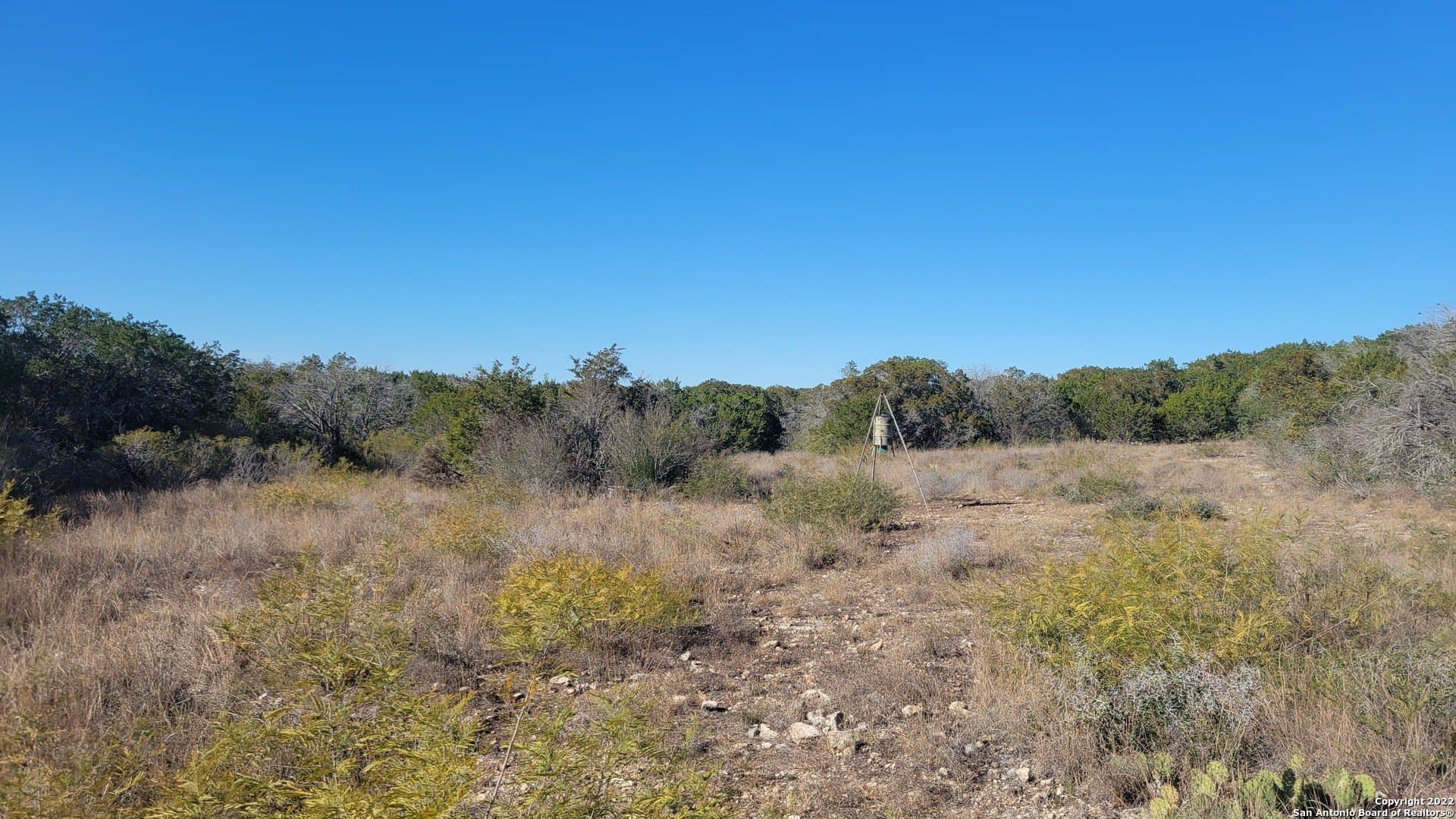 24.75 acres in Uvalde County - photo 9