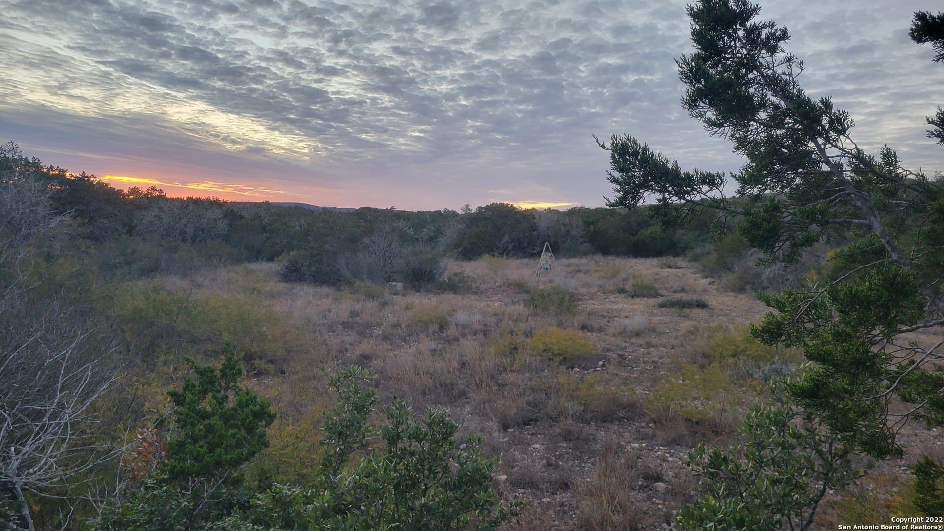 24.75 acres in Uvalde County - photo 7