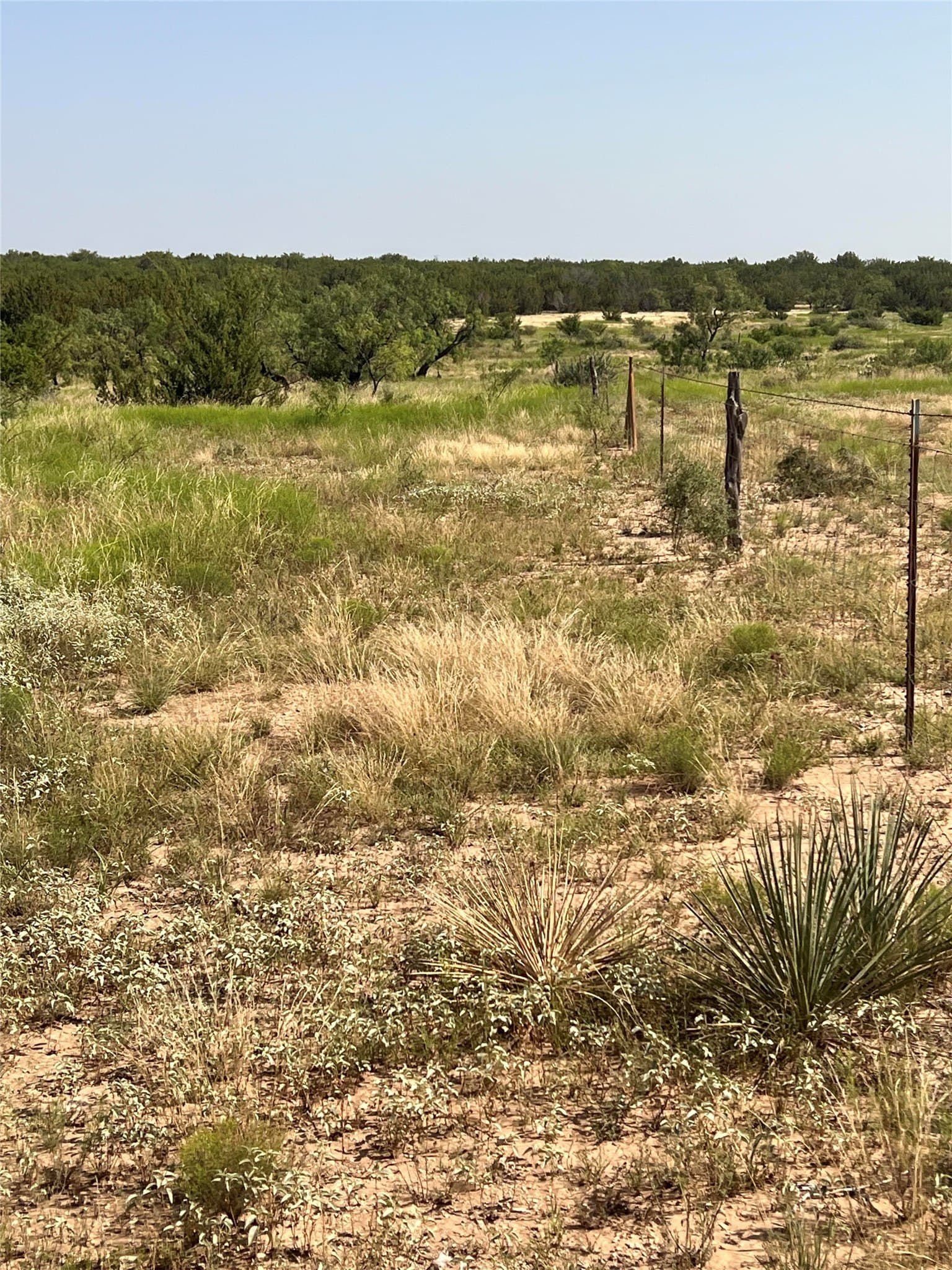 31.21 acres in Concho County gallery image 4
